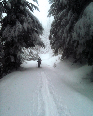 Snow on Trail With Skiier amp_rec_promo_snow