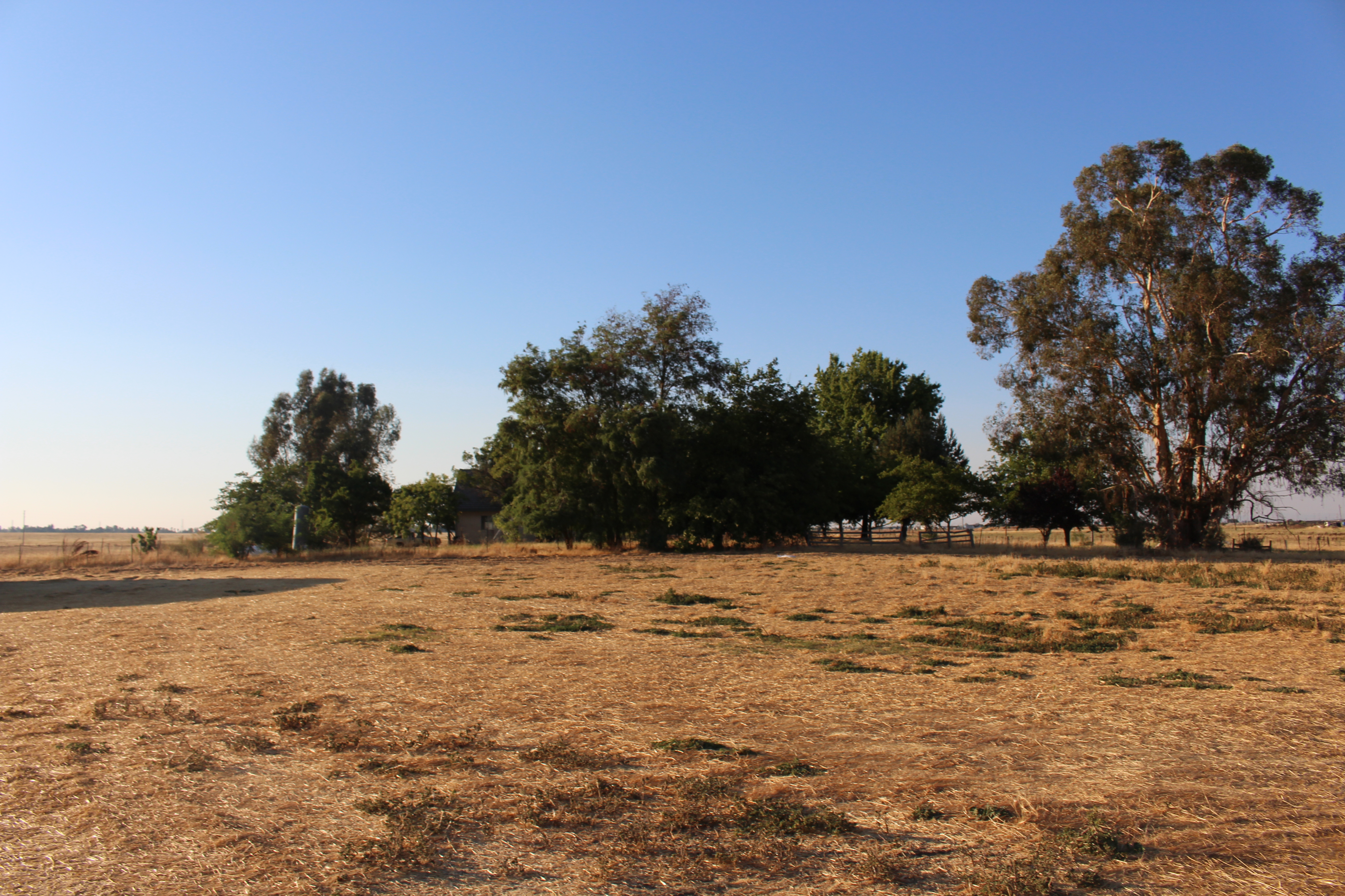 Rural Sacramento IMG_3468