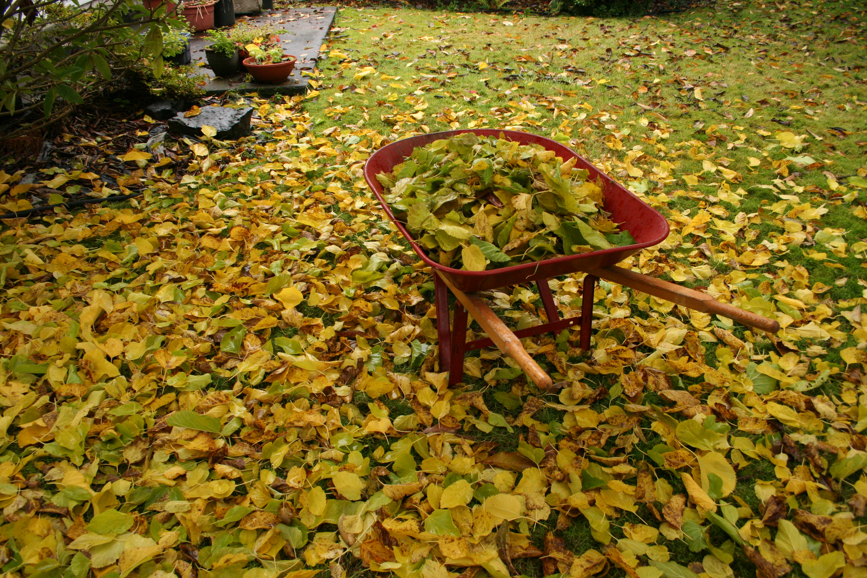 Fall Wheelbarrel