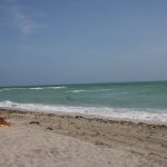 Beach Miami Two People