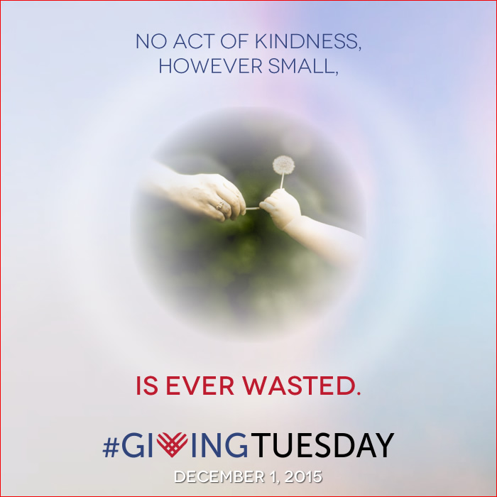 Giving Tuesday 2015-gift-never-waster-graphic