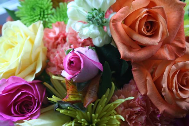Flowers Close-Up IMG_0043