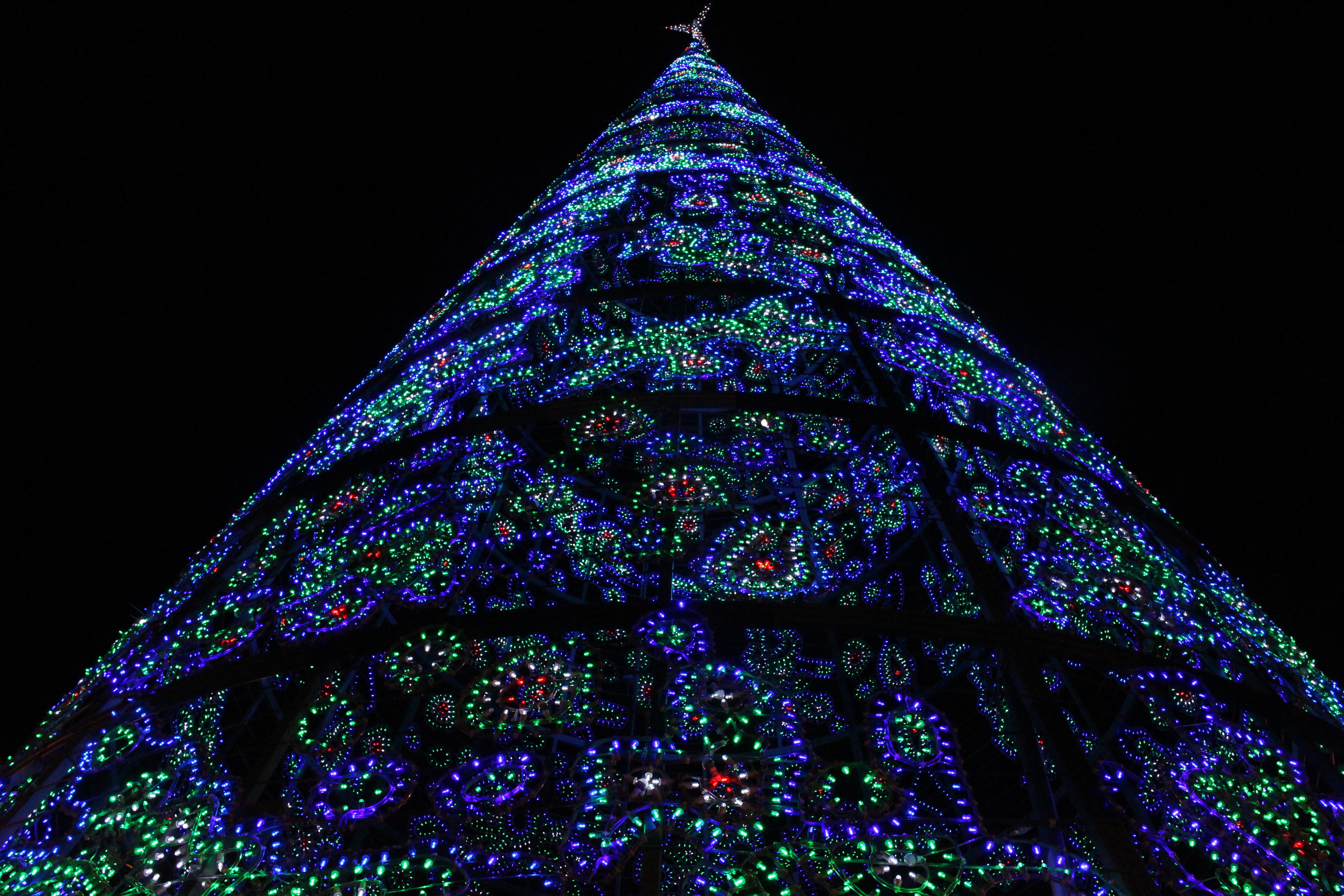 Christmas Tree Madrid