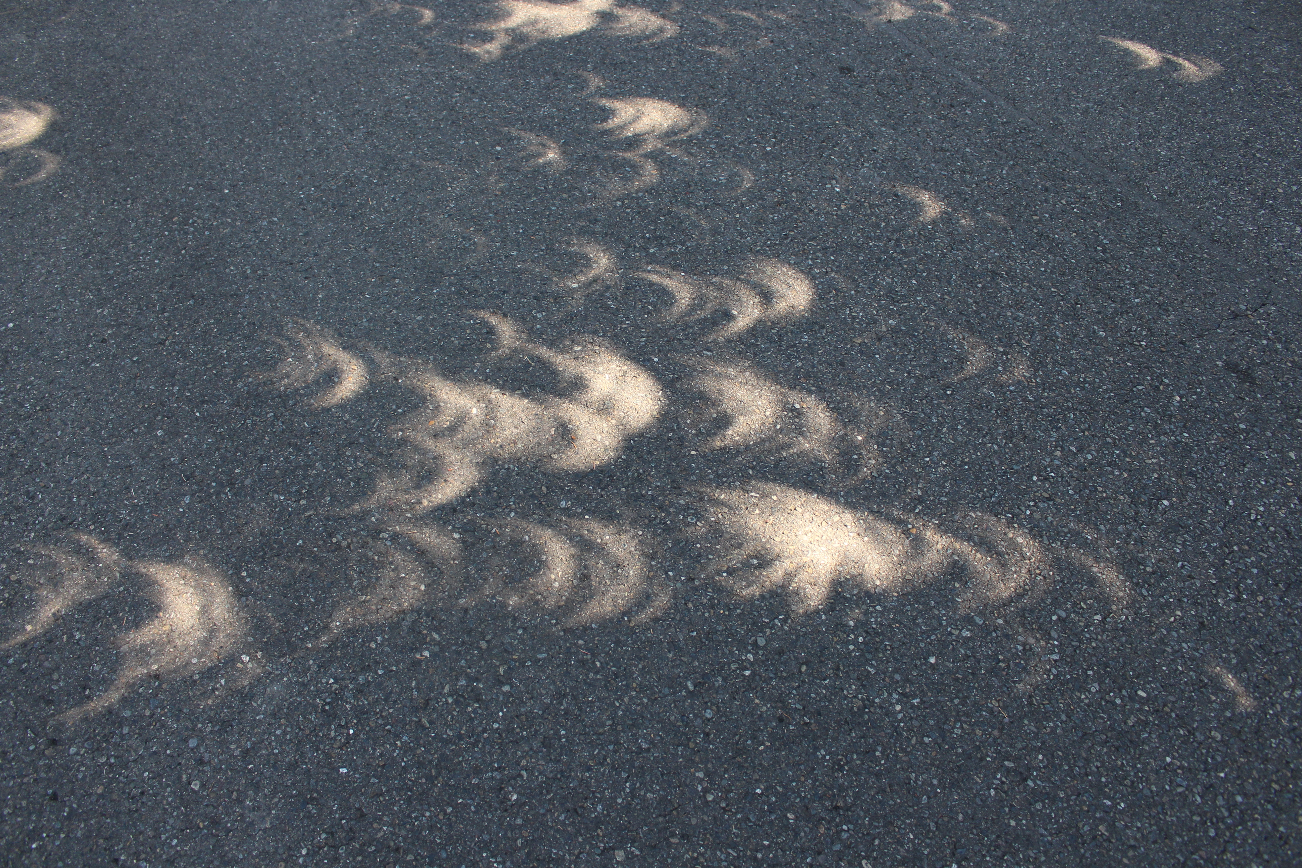 Eclipse Shadows