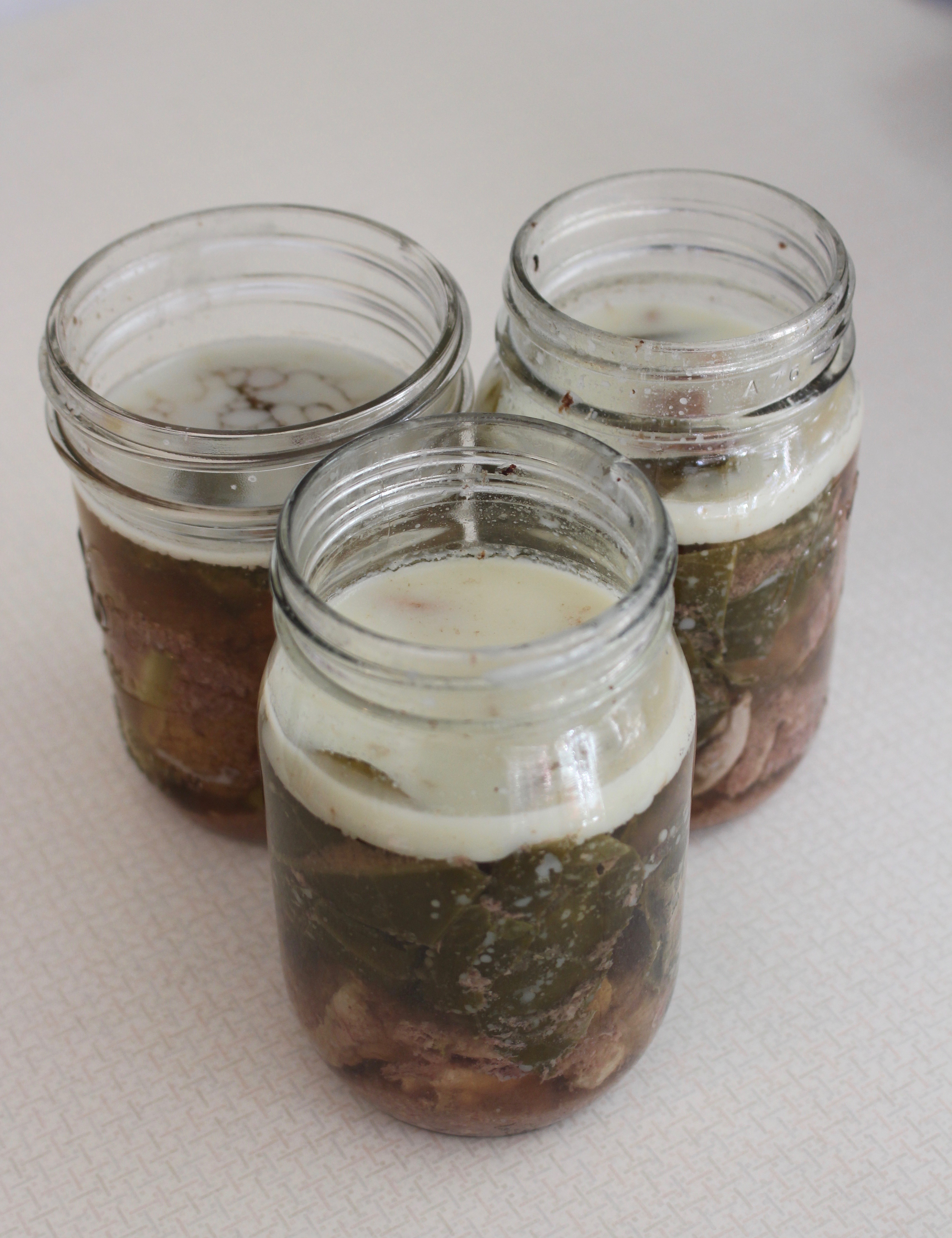 Crockpot Stew Left Out