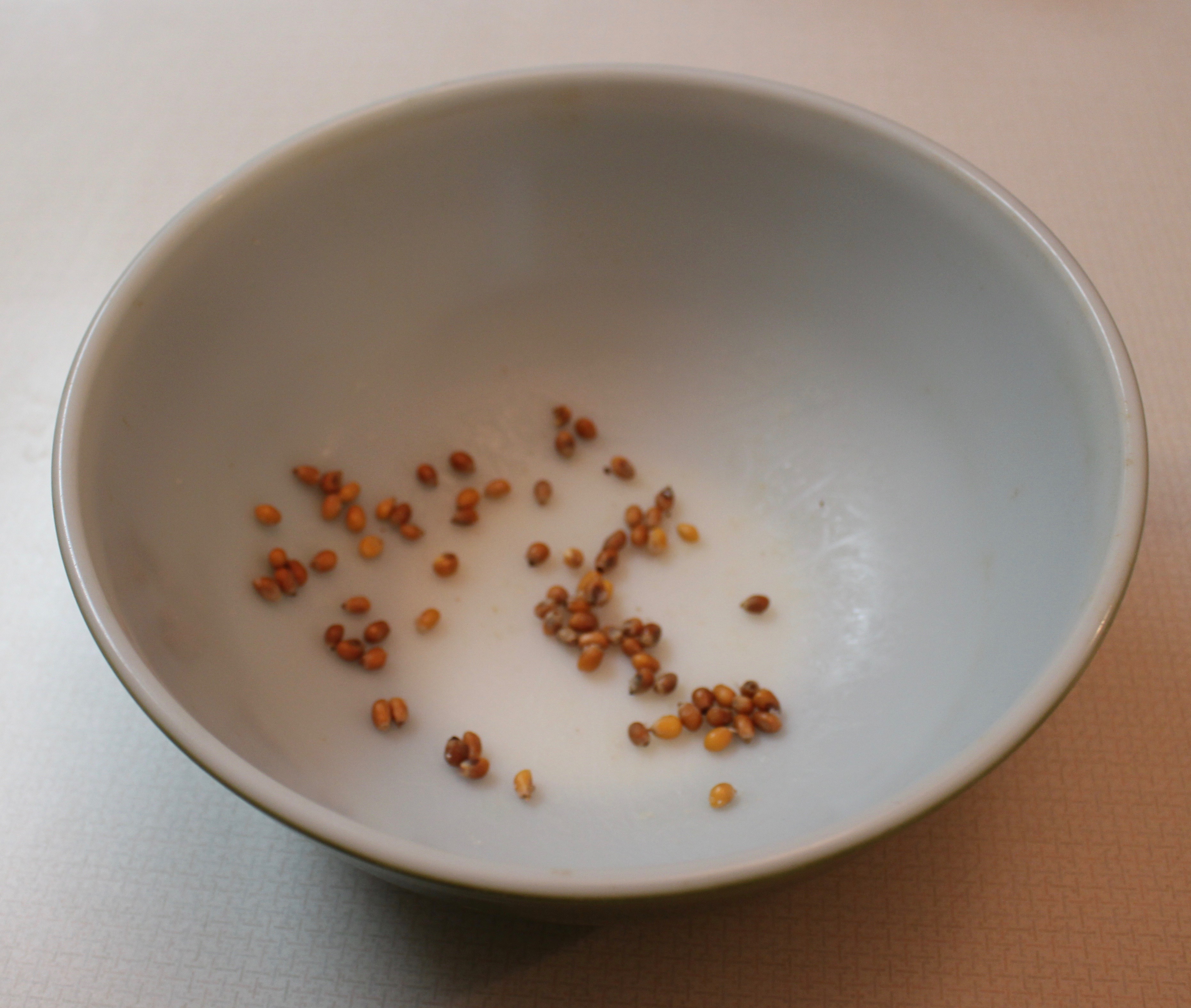Popcorn Empty Bowl
