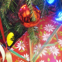 Package Under Christmas Tree Closeup