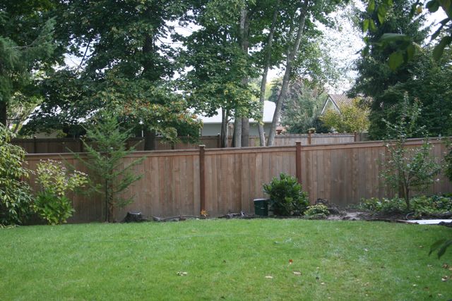 Fence IMG_3244