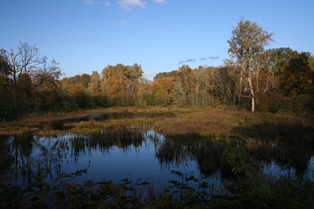 Nisqually River IMG_6229