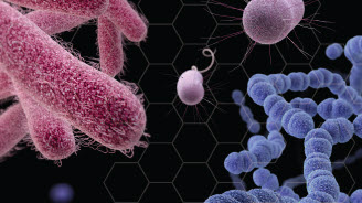 AntibioticResistance-328x184