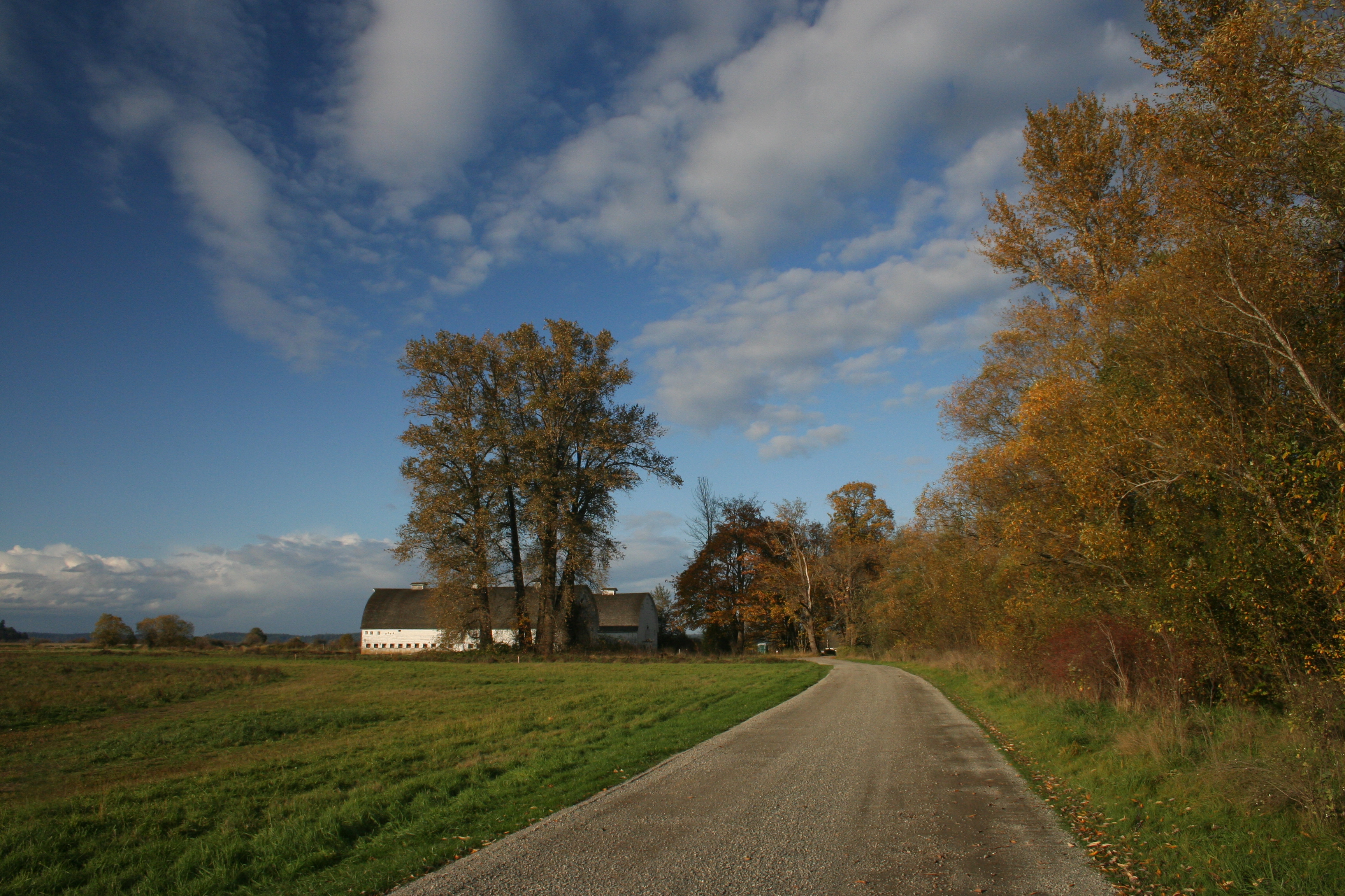 Fall Nisqually Twin Barns