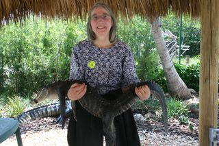 Alligator 6a00e55008157688340134835ec071970c.jpg