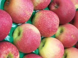 Apples Pink Lady