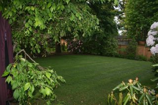 Lawn 6a00e5500815768834012875f27994970c.jpg