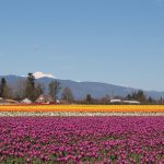 IMG_1151