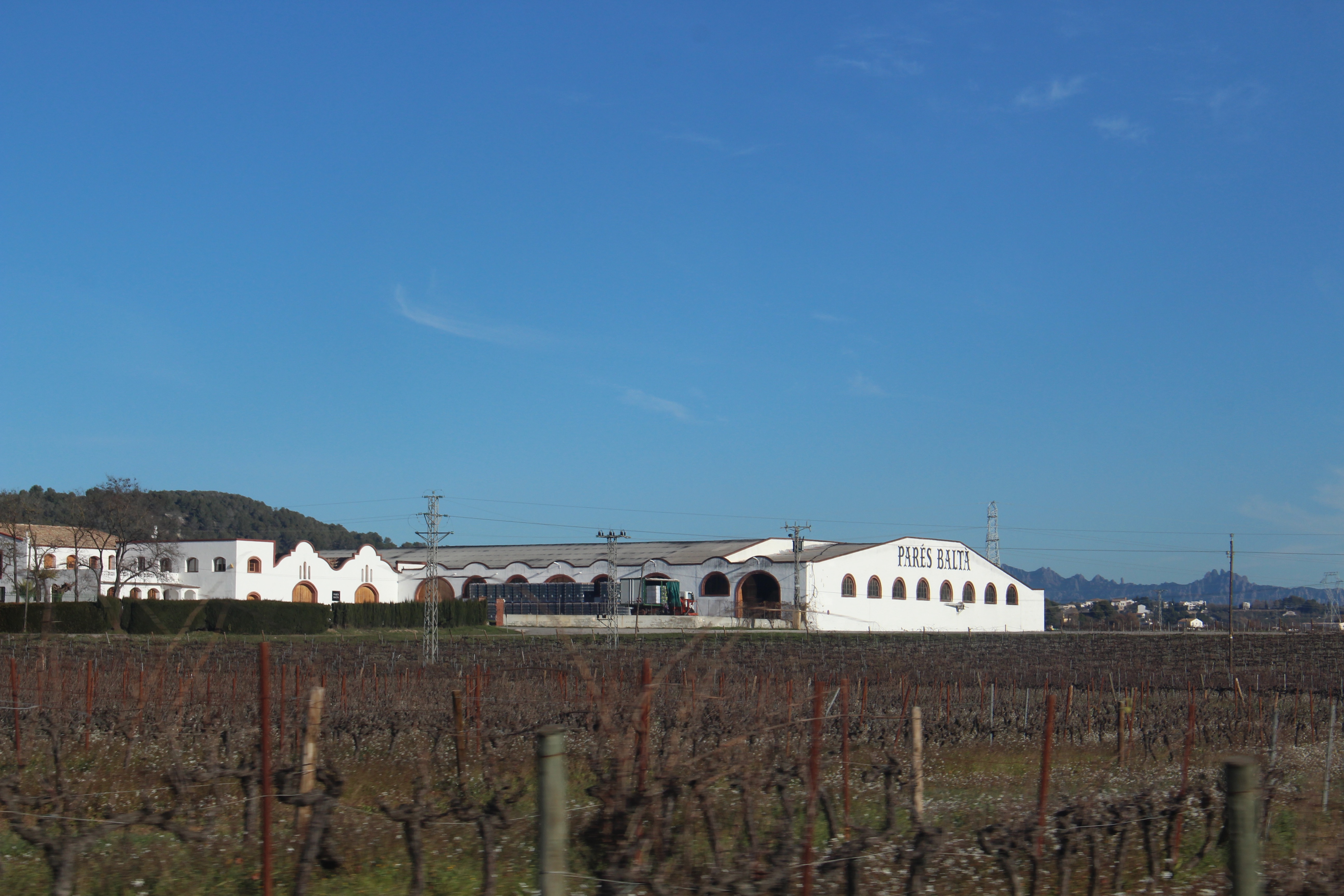 Wine tasting in Spain – Pares Balta in Vilafranca del Penedes Wine tasting in Spain – Pares Balta in Vilafranca del Penedes