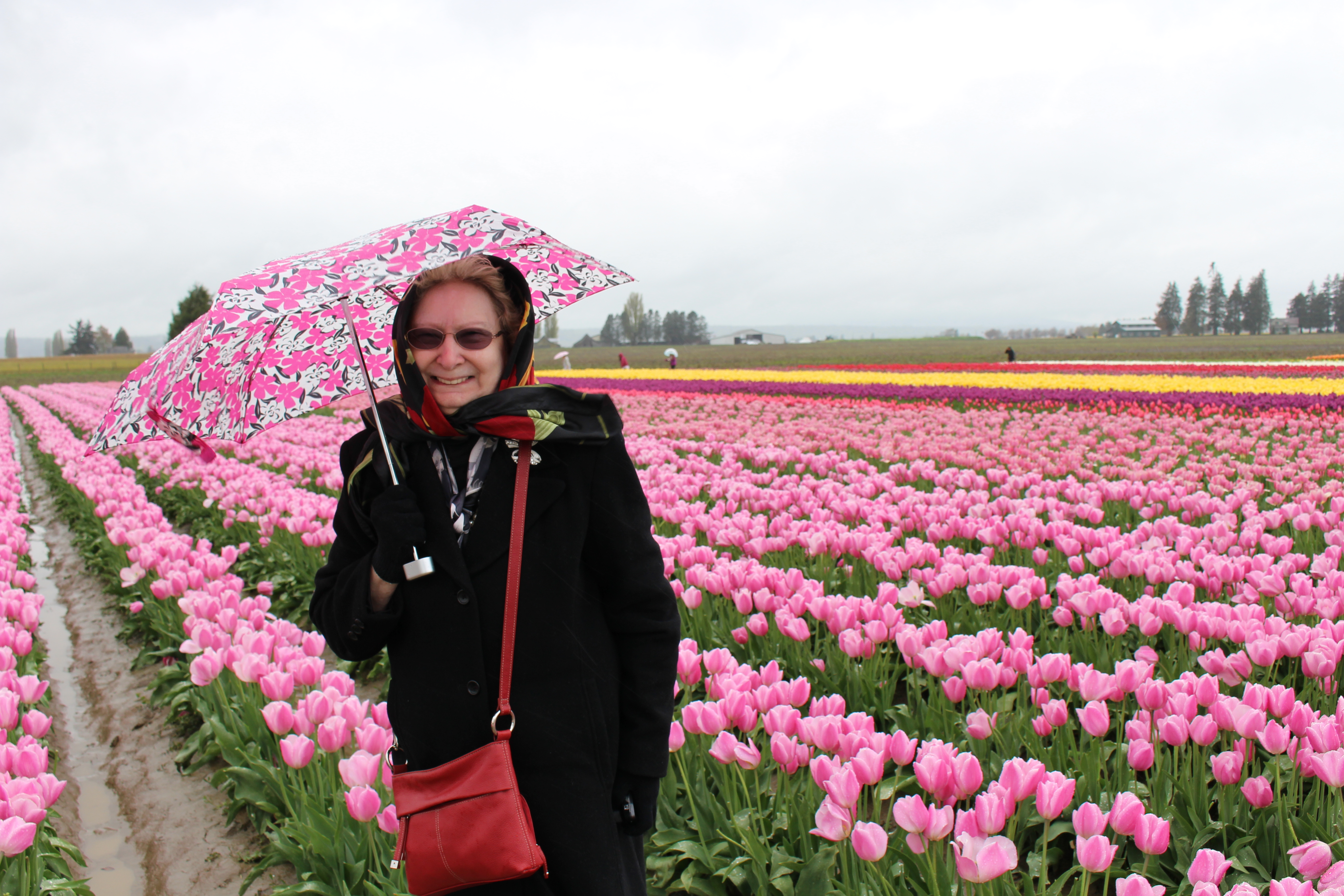 Myrna Tulip Fields Umbrella IMG_3344