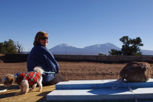 Laura-and-rasta-on-insulation-2014-2