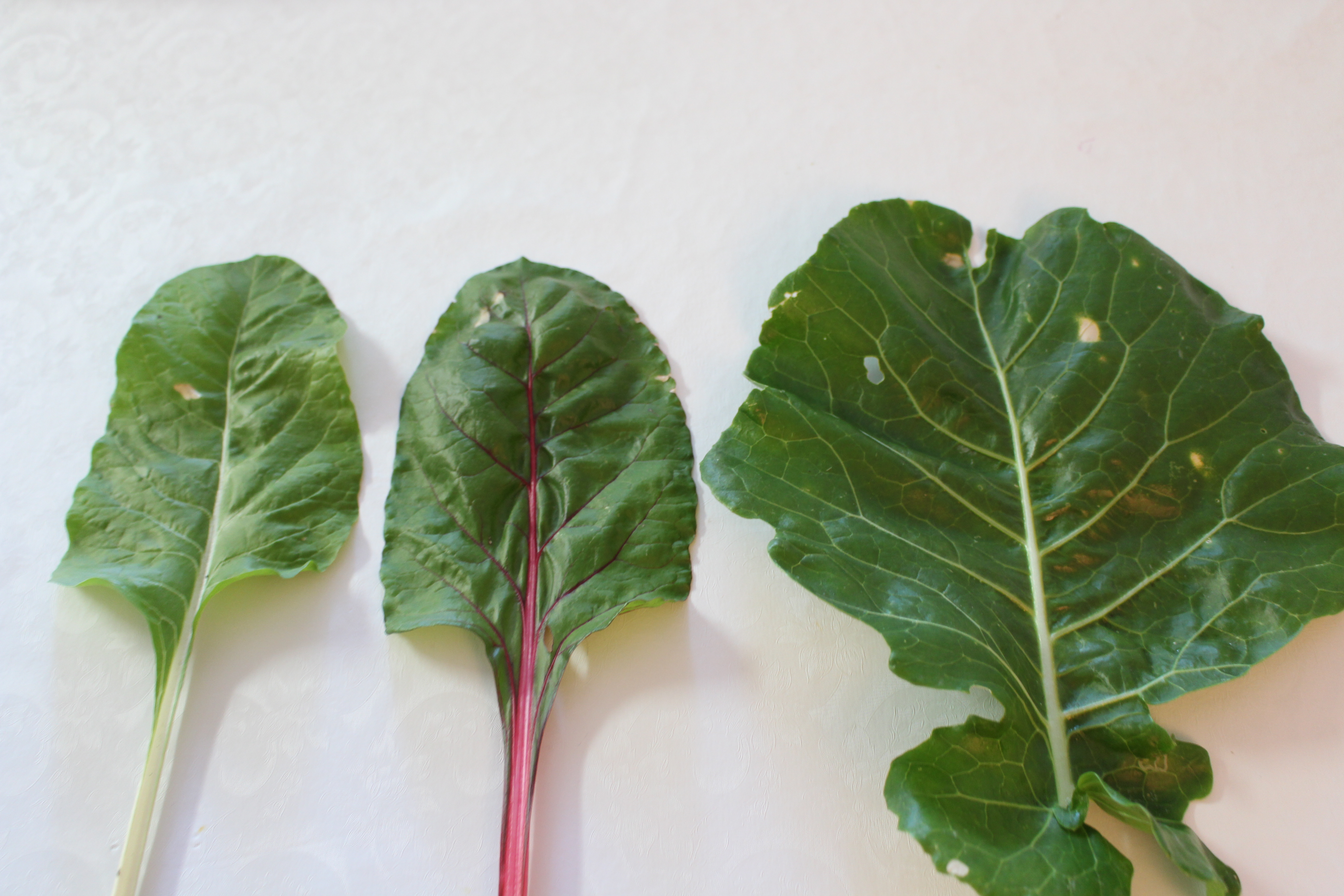 Brown Spots on Vegies