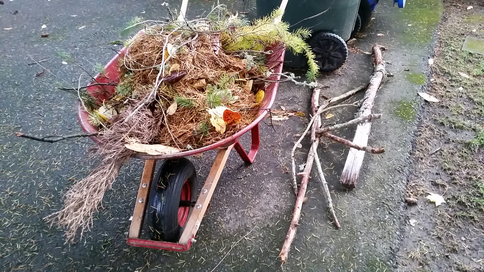 Stuff on Driveway