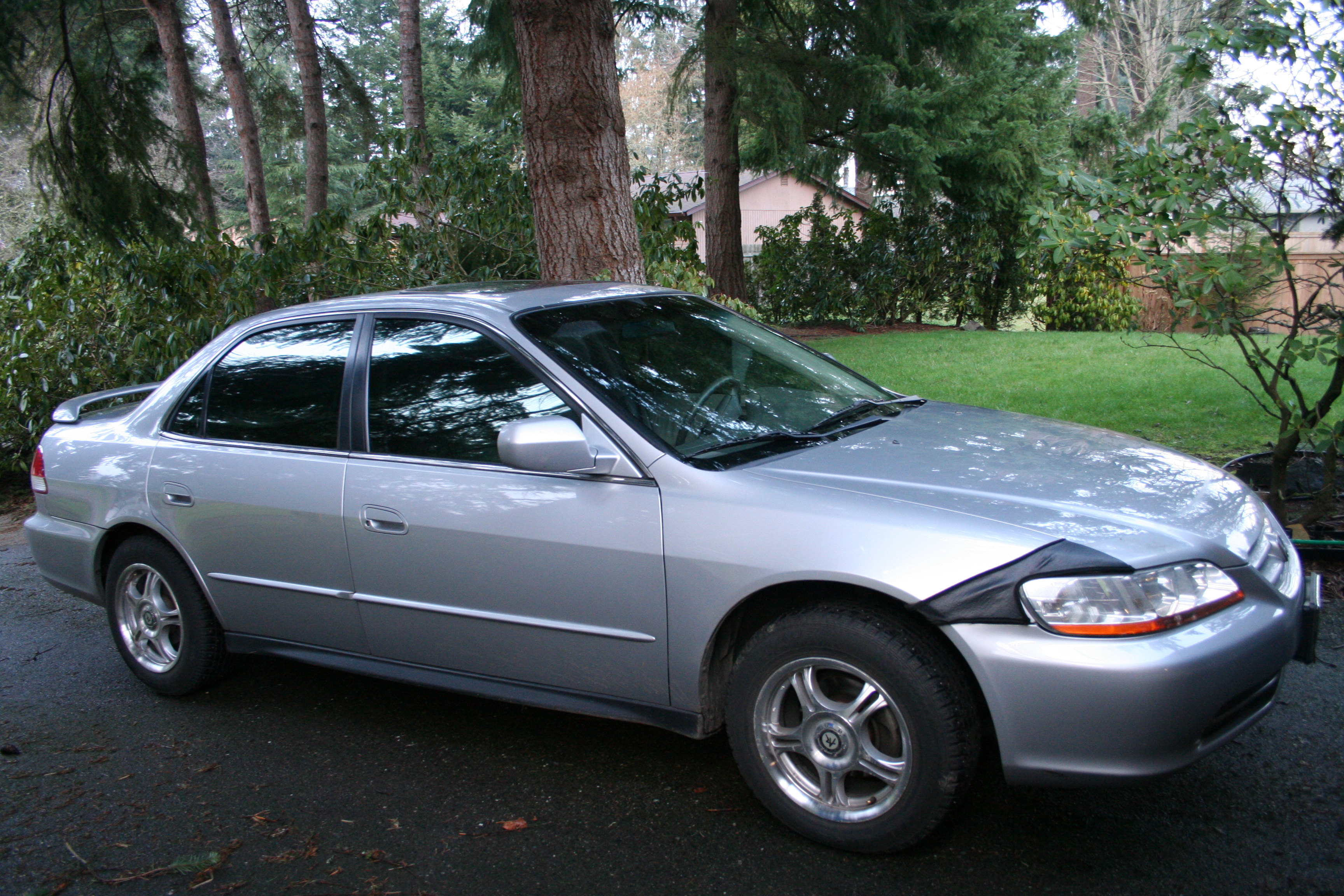Rita's Car IMG_9594