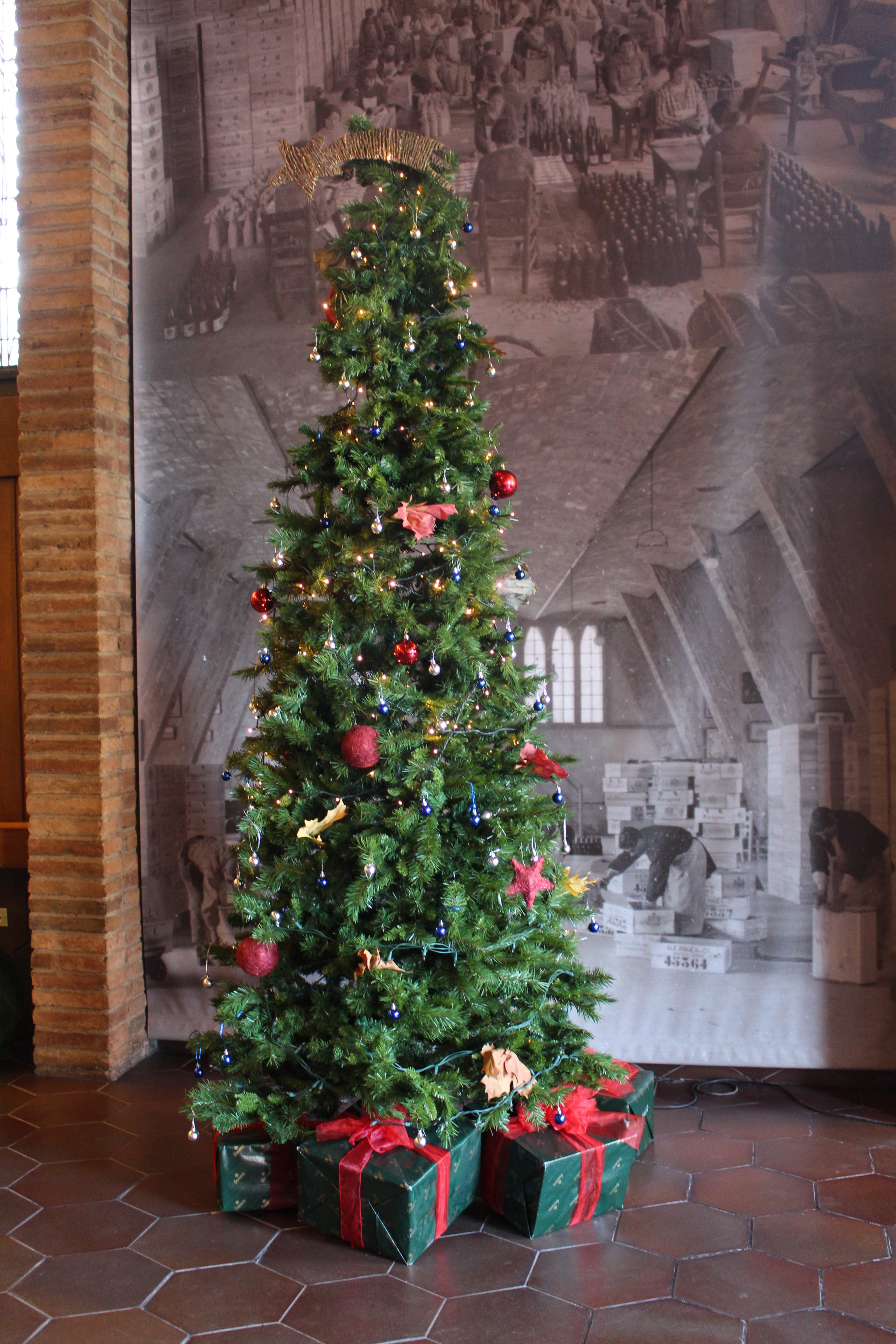 Christmas Tree Cordorninu