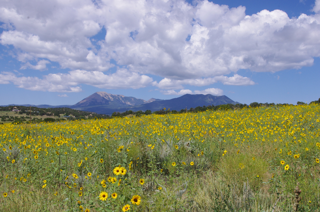 Colorado