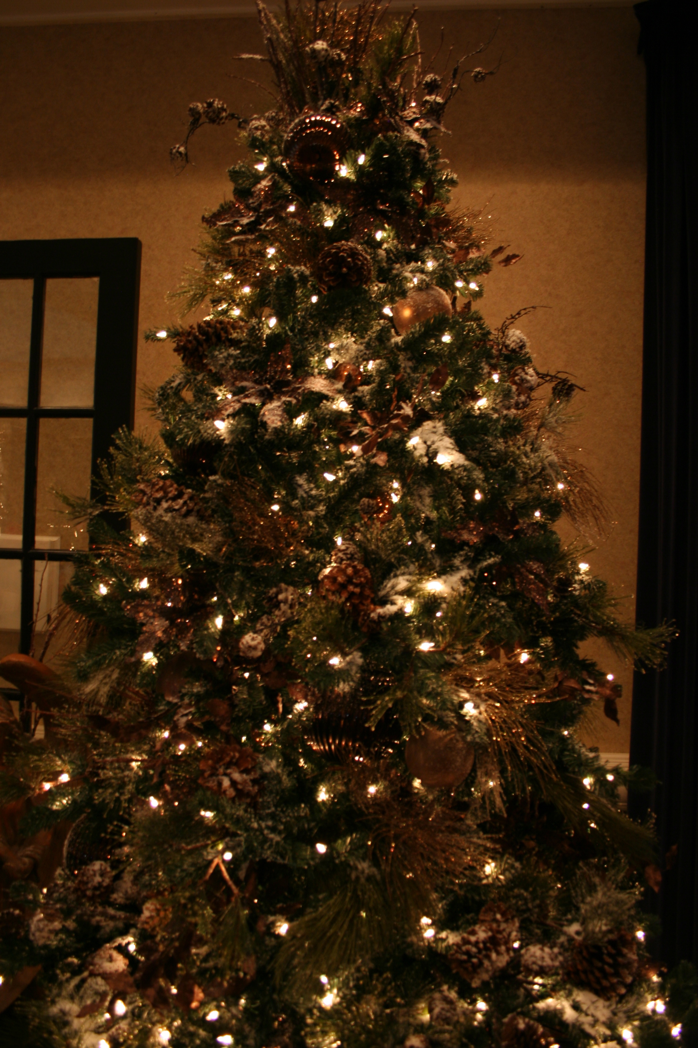 Christmas Tree St Peter Hospital