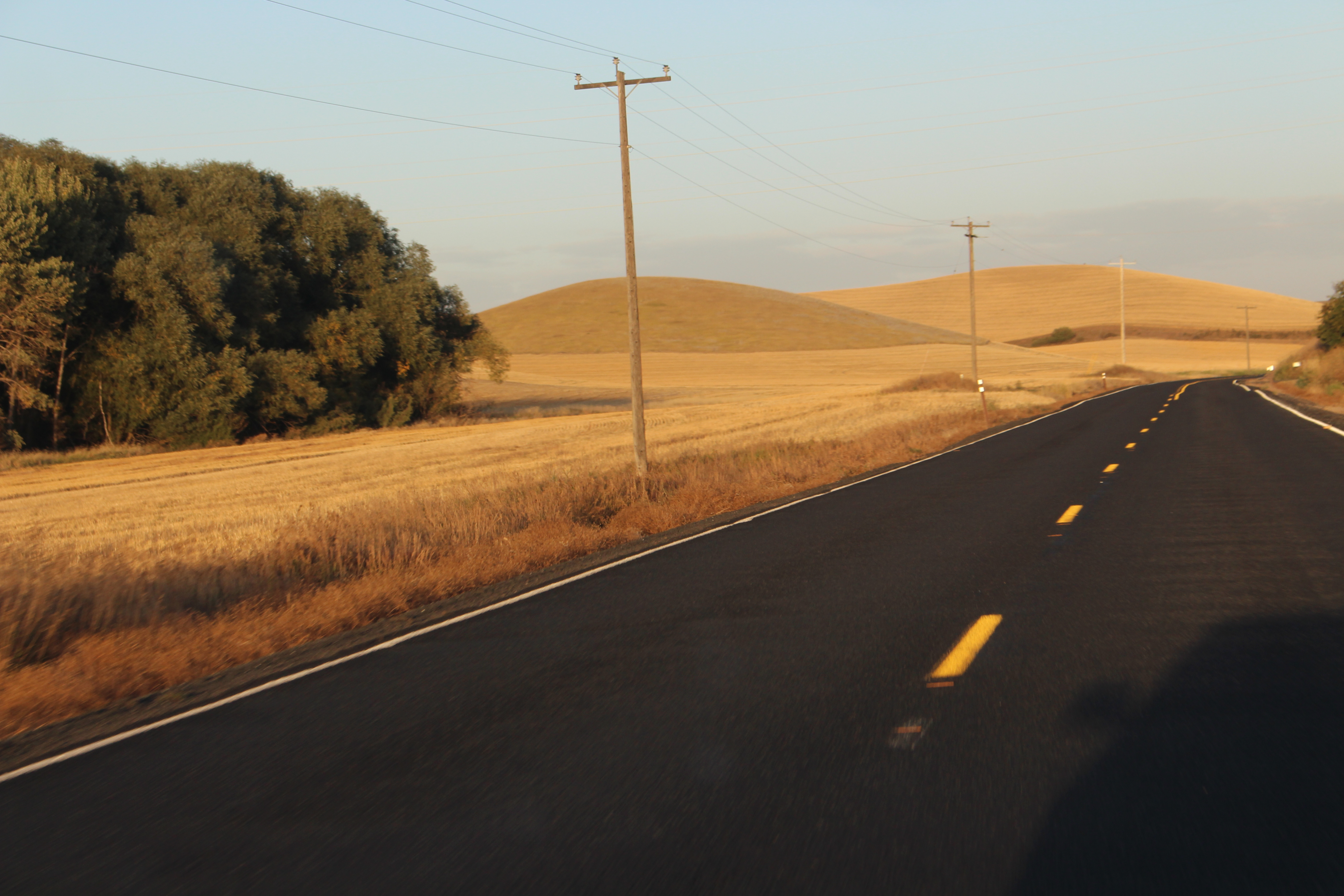 Wheat Road