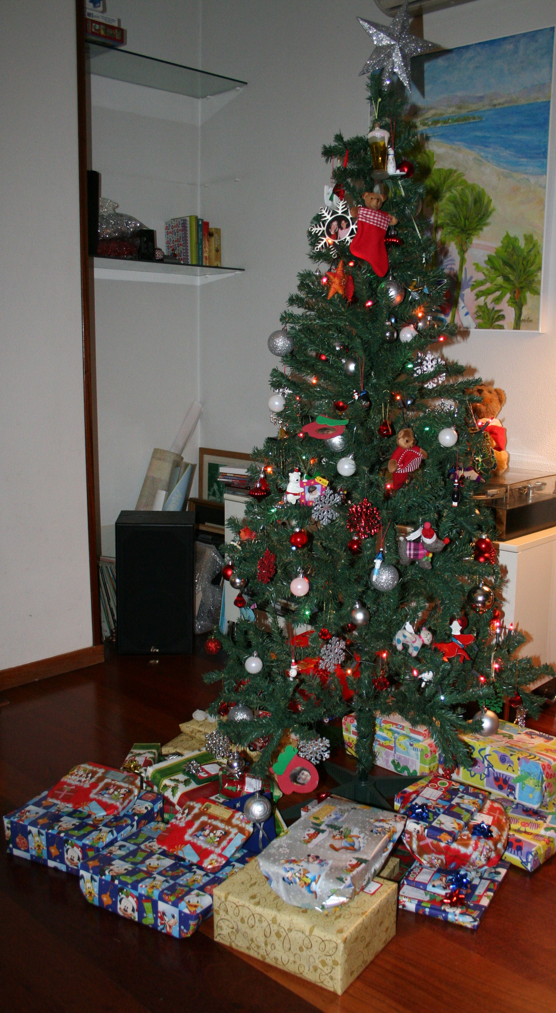 Madrid Christmas 2011 020