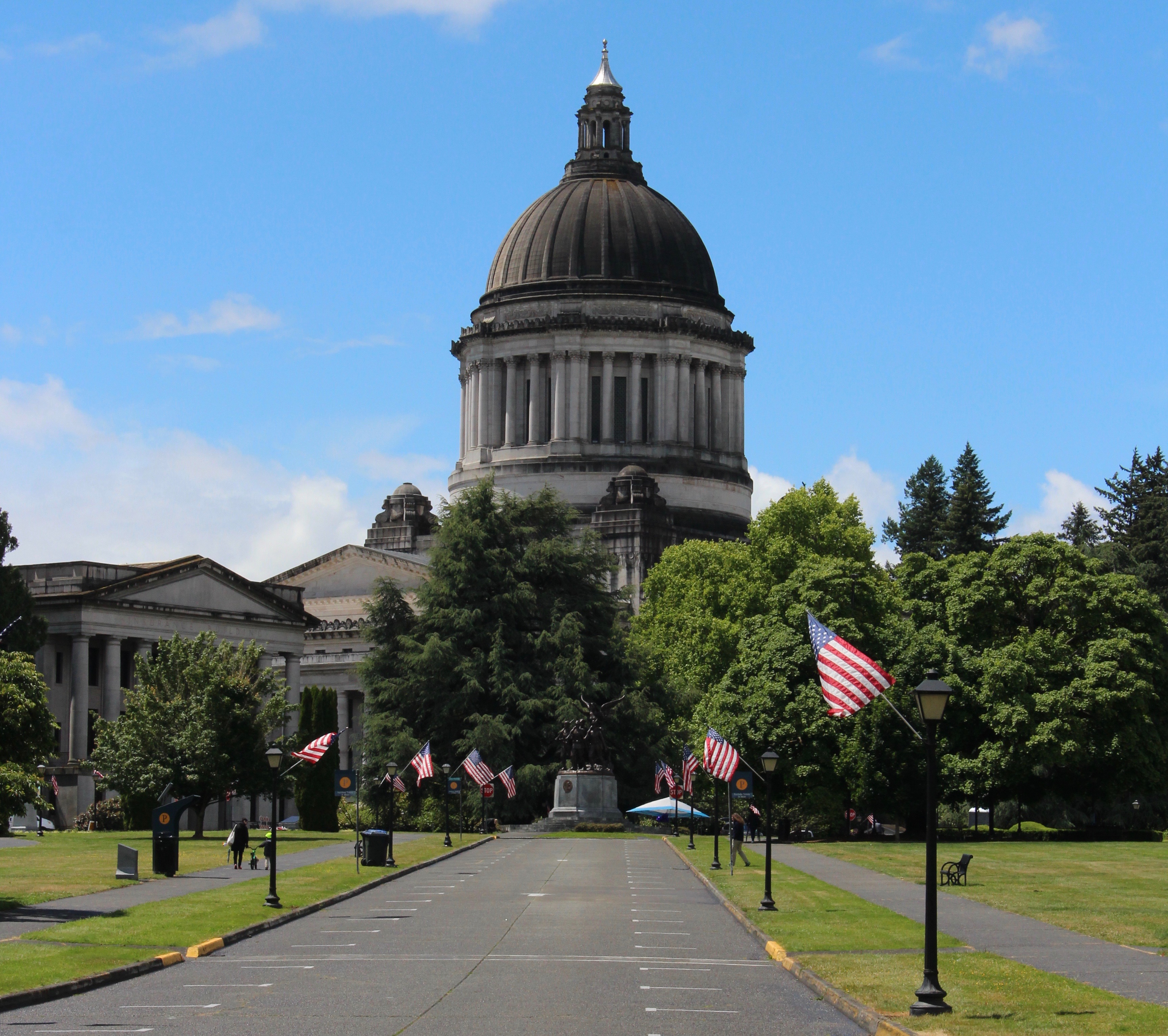 Flag Capitol Building
