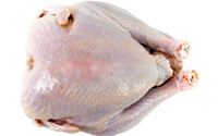 Turkey Raw