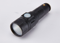 Flashlight With Vehicle Recharger
