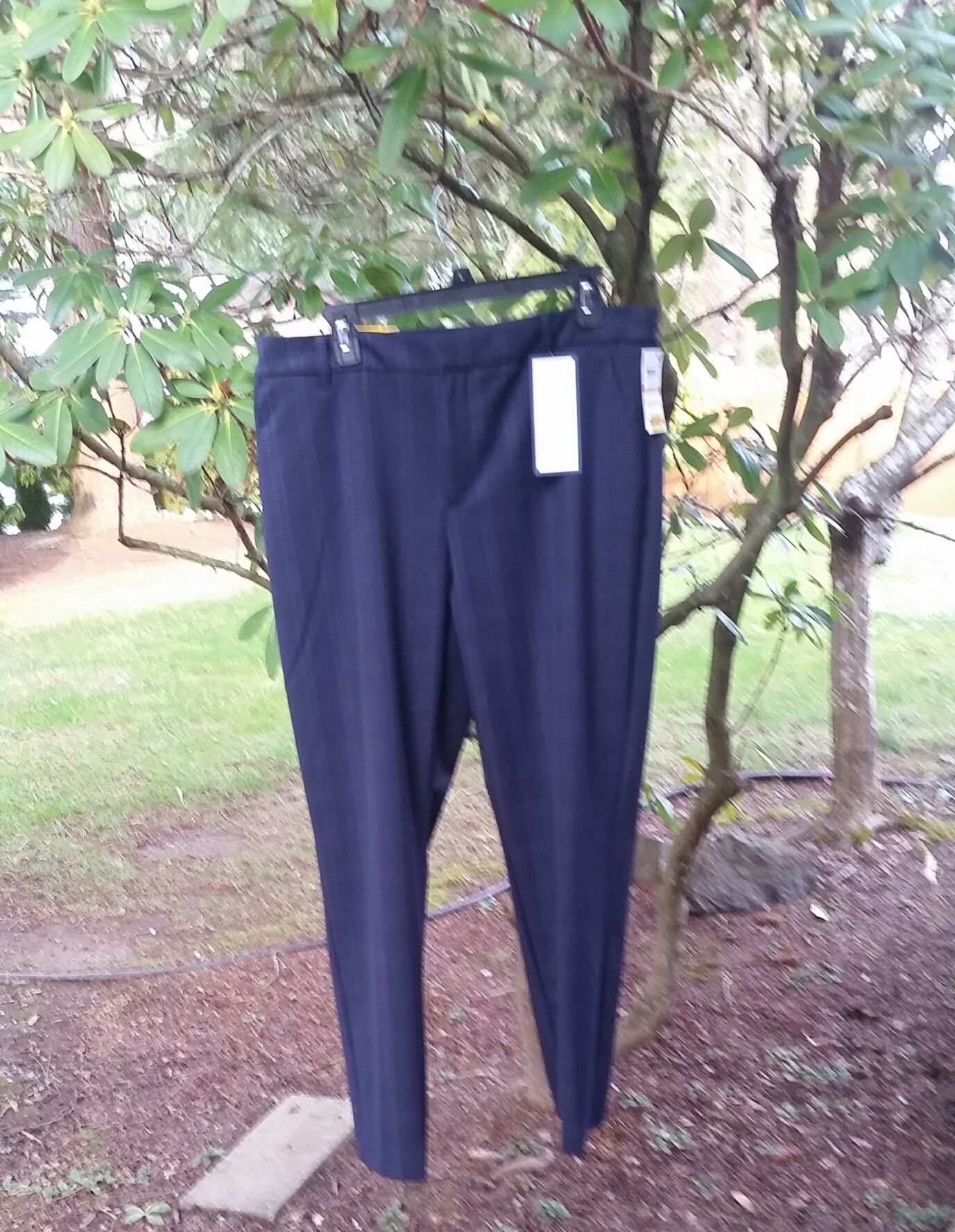 Pants Hanging in Tree 2
