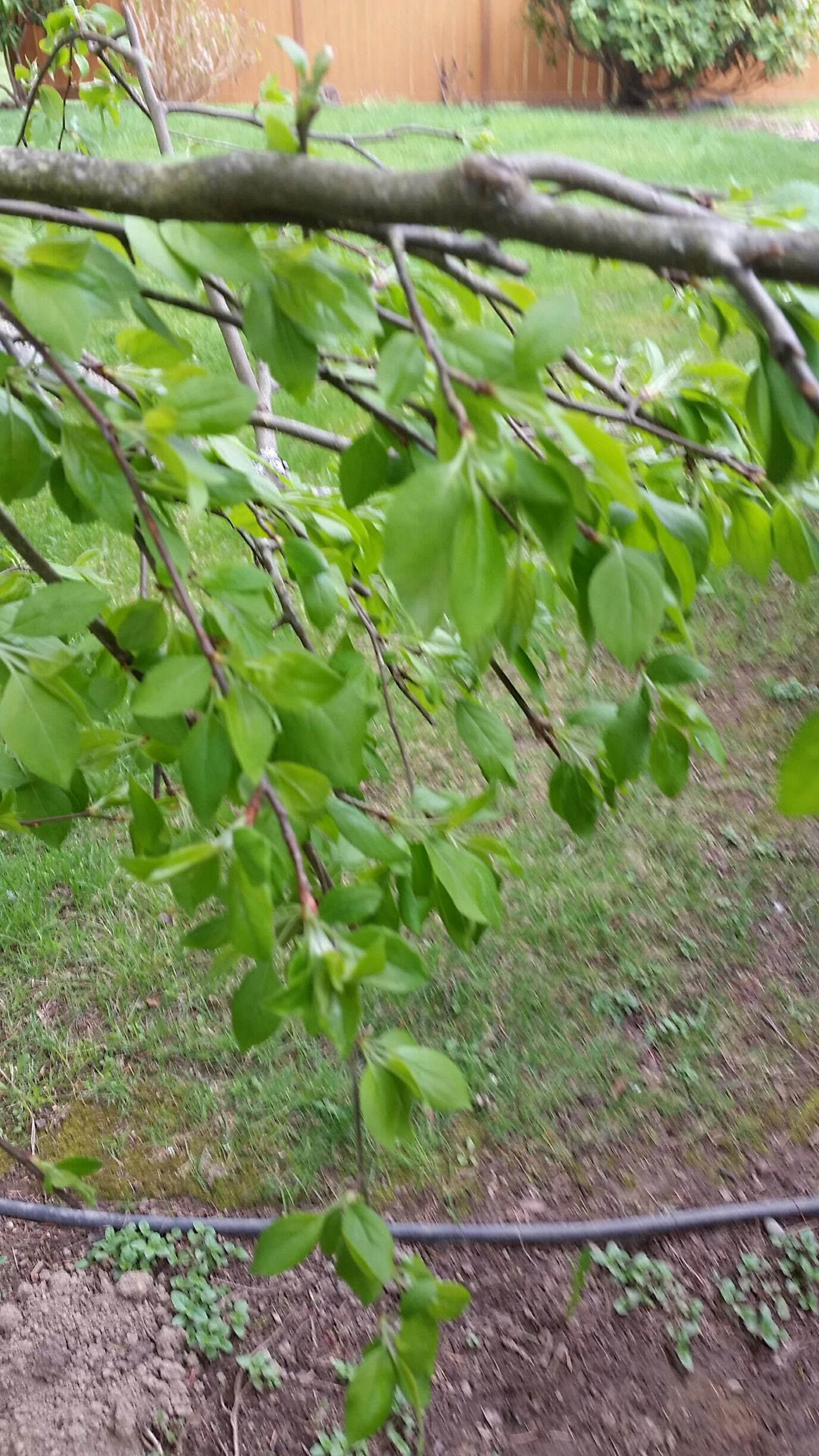 20190404_161904_resized