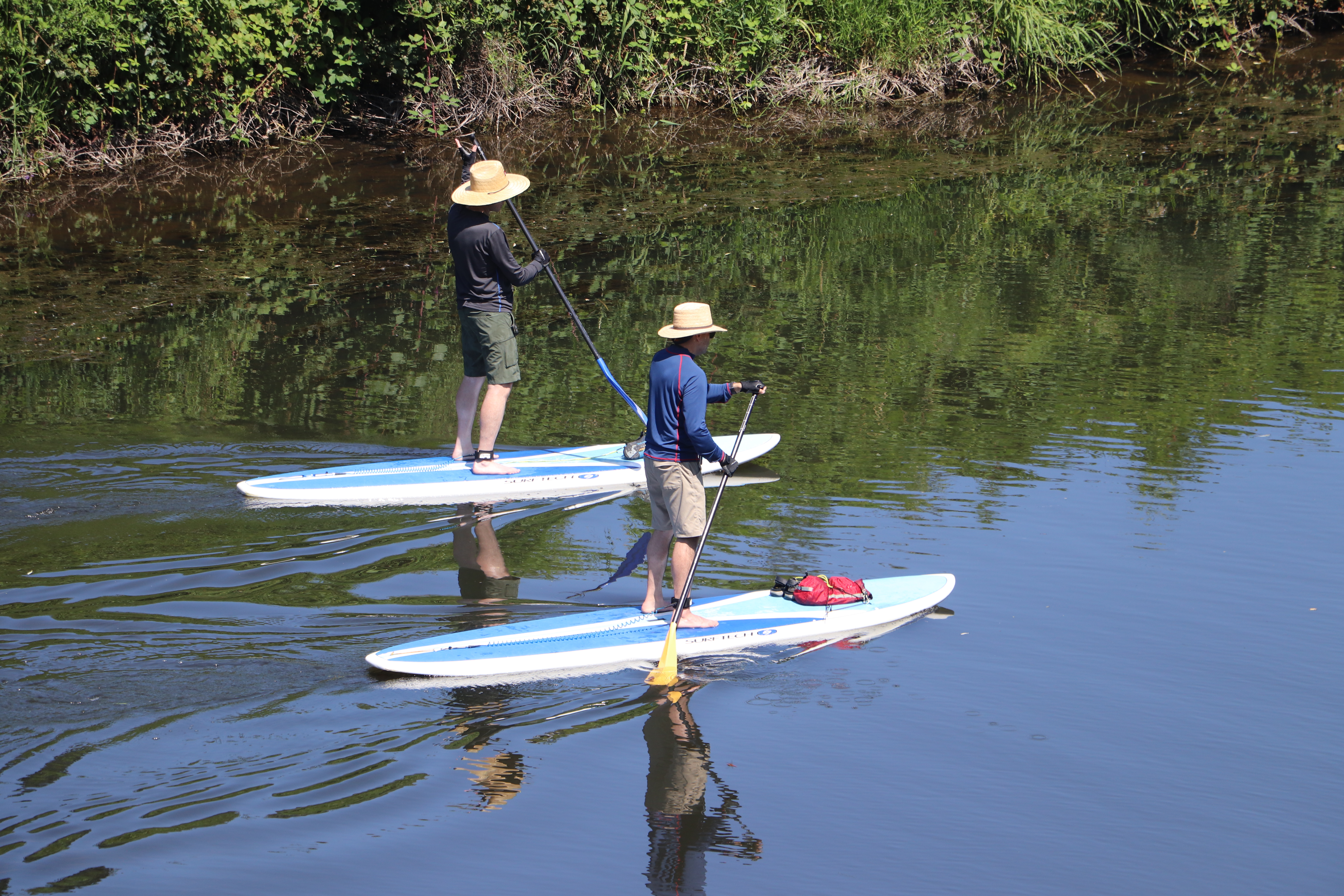 Two People on Paddle Boards Bothell Wash