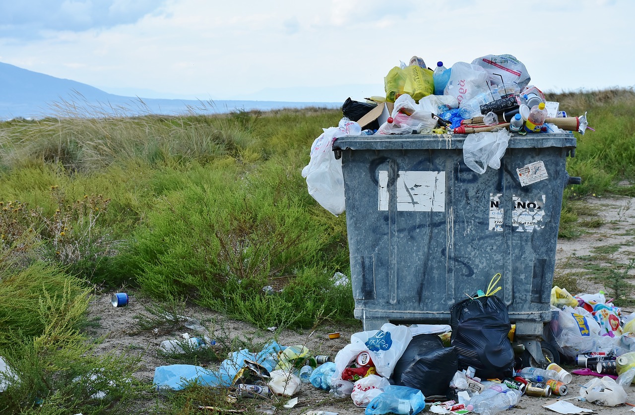 Garbage-Overflowing Near the Beach and Mountains 2729608_1280