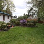 Yard in the Spring Seattle Area
