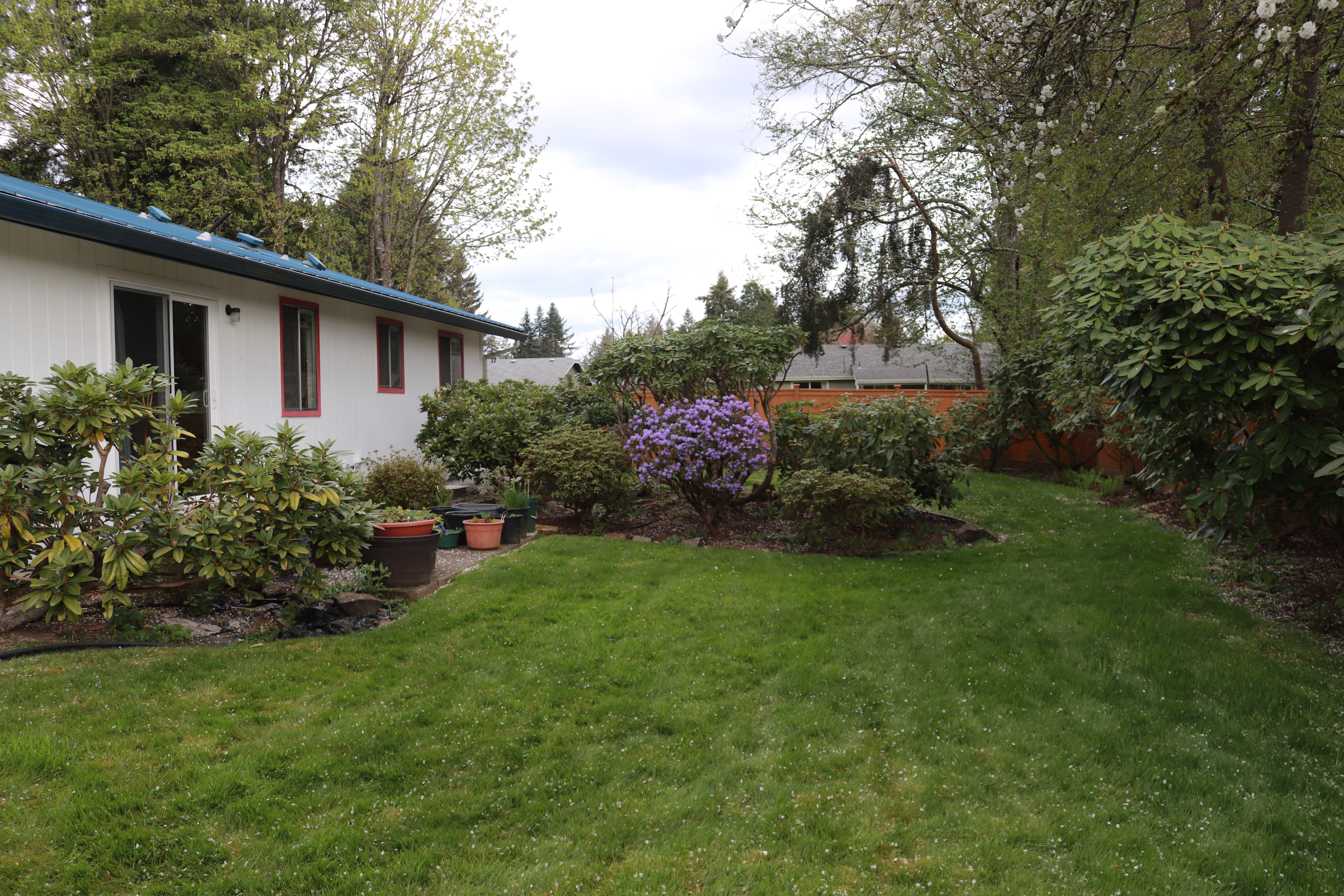 Yard in the Spring Seattle Area