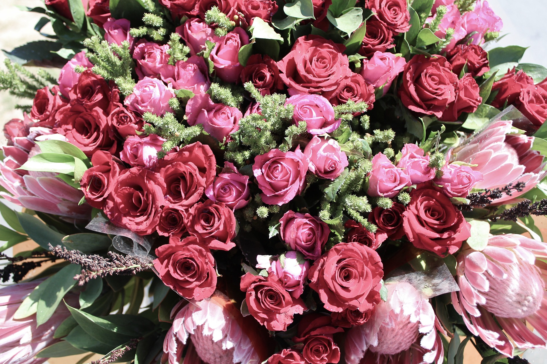 Flowers-660611_1920