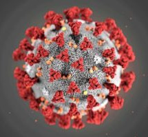 COVID19 Enlarged Photo of Virus-300x200