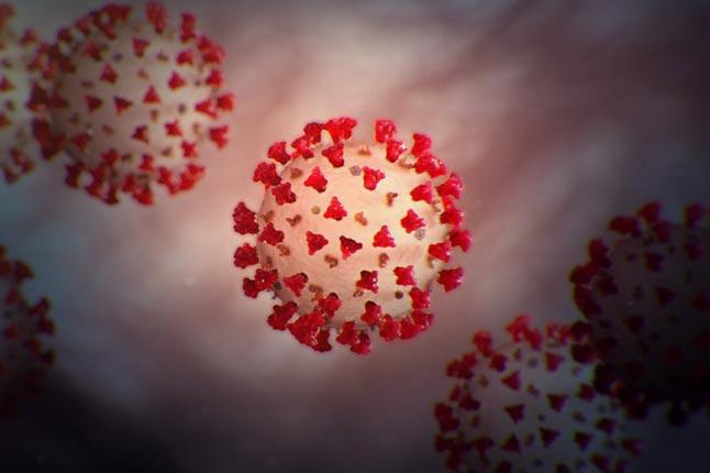 Coronavirus