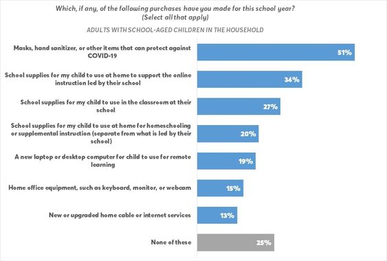 School Year Purchases-Consumer Reports Survey 9-17-20