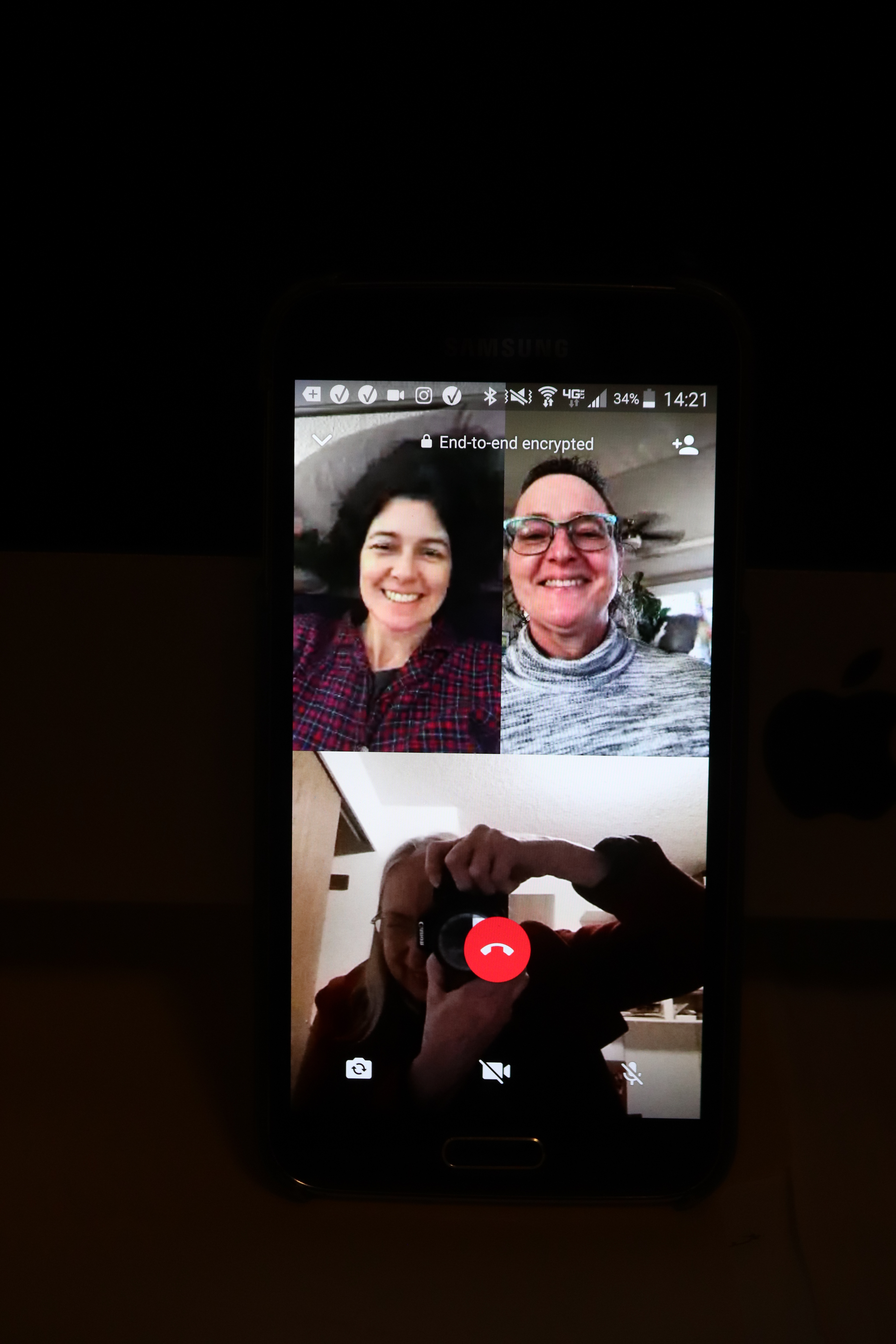 Thanksgiving 2020 Mona and Lisa Video Call 11-26-20 copy