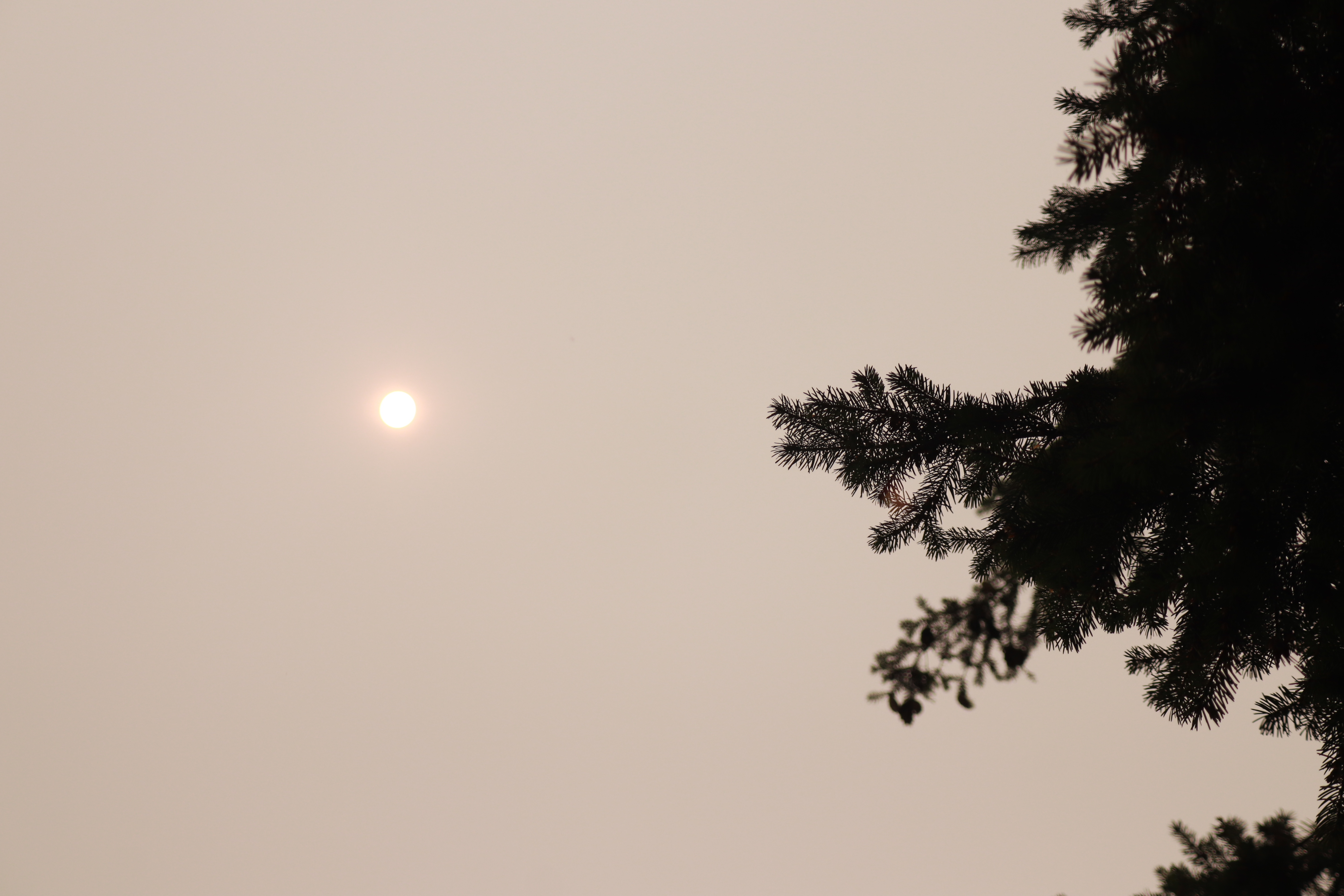 Smoky Air in Tumwater Wash in September 2020