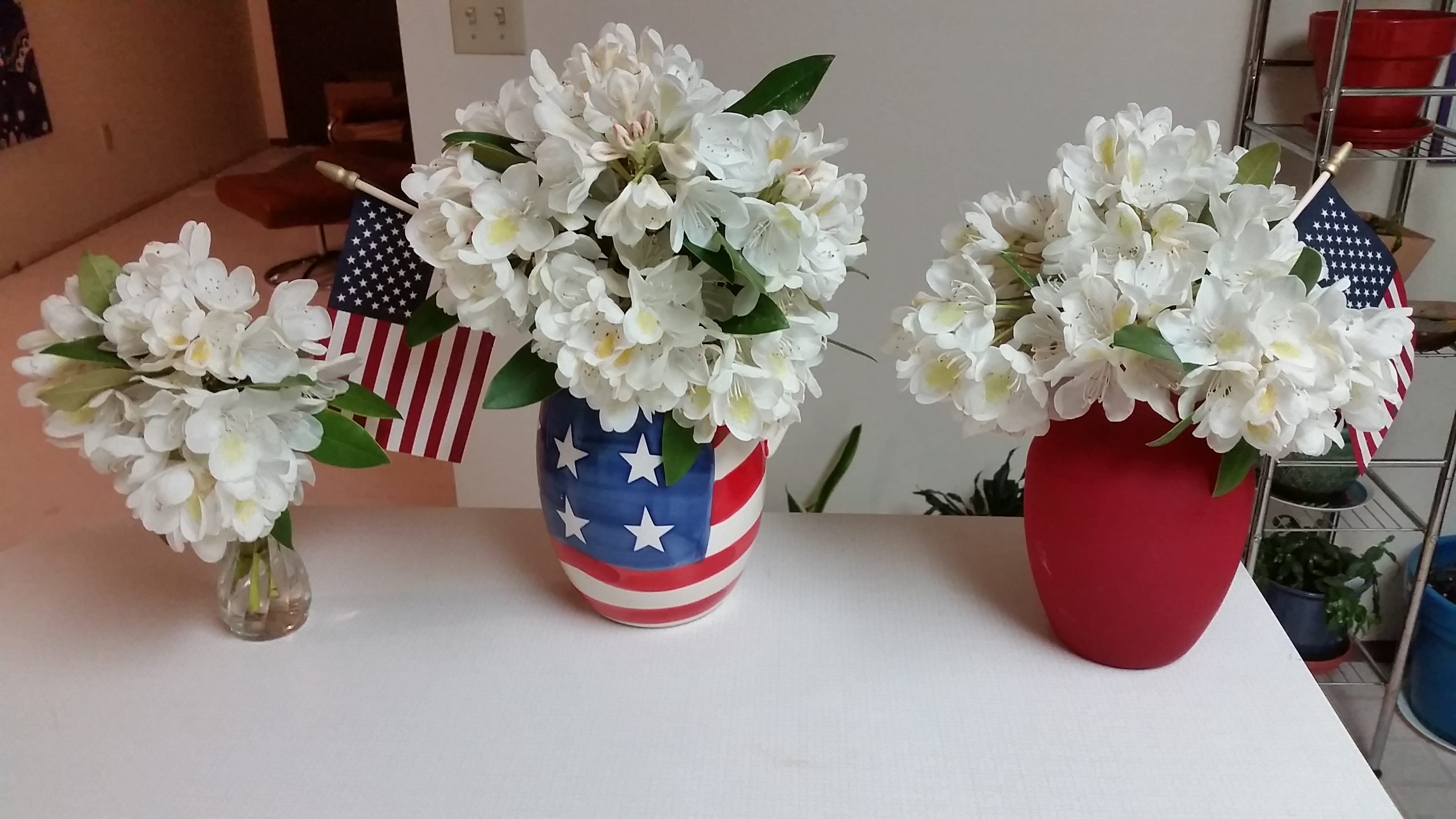 Rhodies White With Flags in Stars and Stripes Pitcher