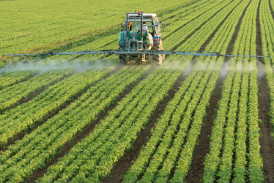 Pesticides Being Sprayed on a Green Field