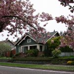 House Flowering Trees3