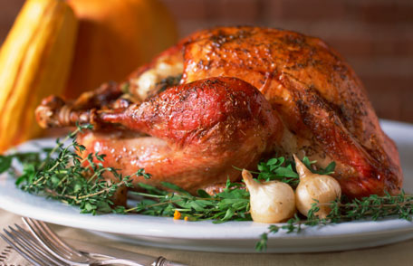 Turkeytime_456px
