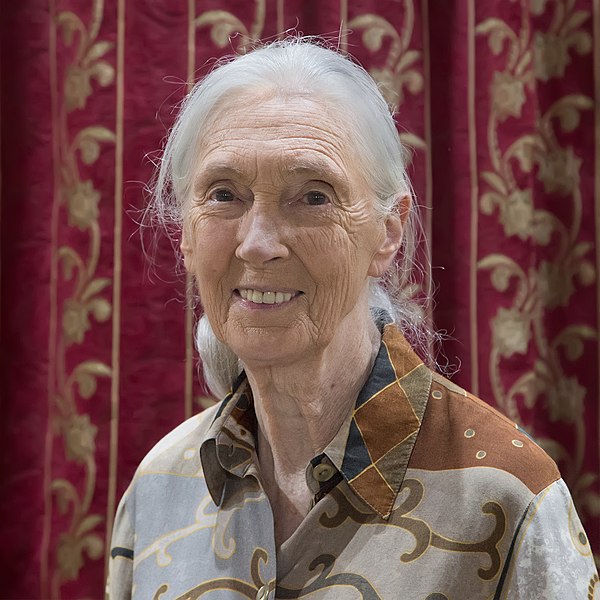 Jane-goodall